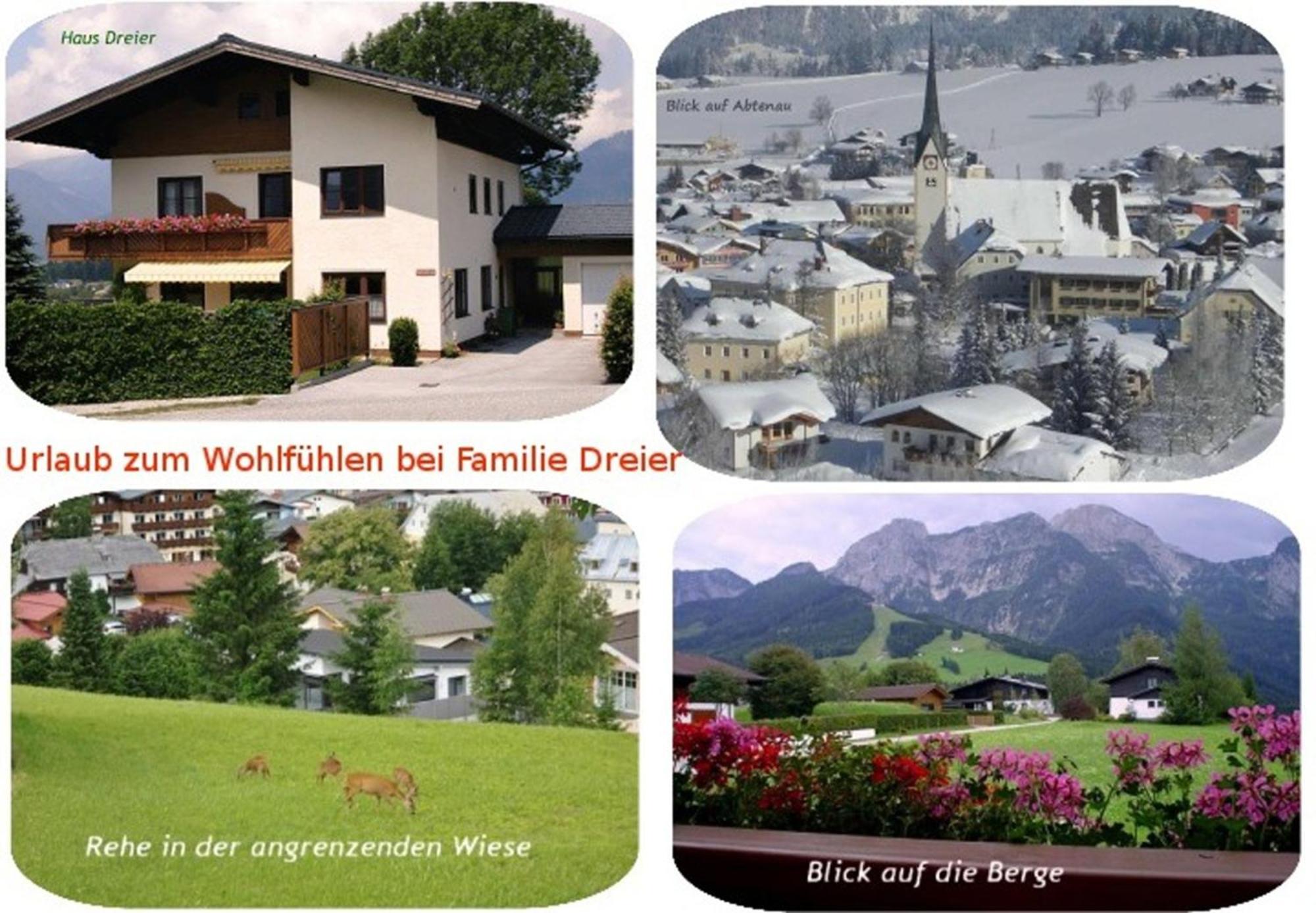 Apartment Dreier - Salzburger Land أبتيناو المظهر الخارجي الصورة