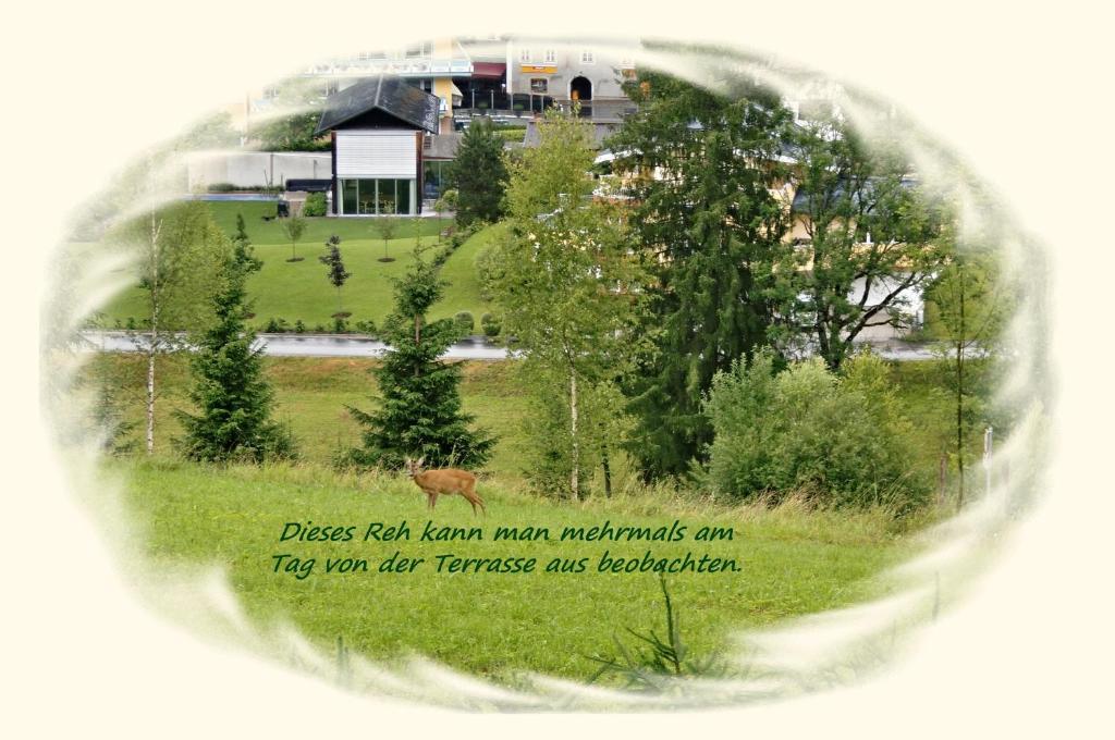 Apartment Dreier - Salzburger Land أبتيناو الغرفة الصورة