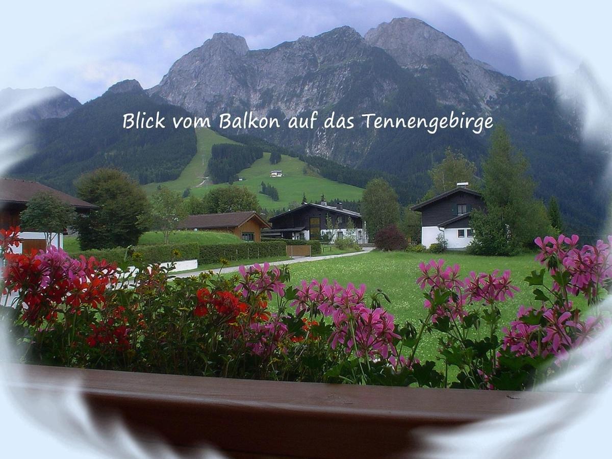 Apartment Dreier - Salzburger Land أبتيناو الغرفة الصورة